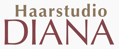 Logo des Haarstudio DIANA in Harburg